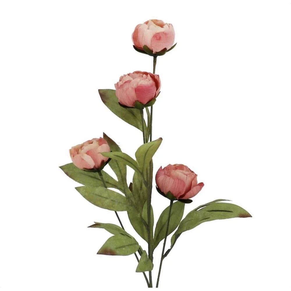 Set of 8 Viral Ashland Coral Peony Stems From Michael’s NEW 2026